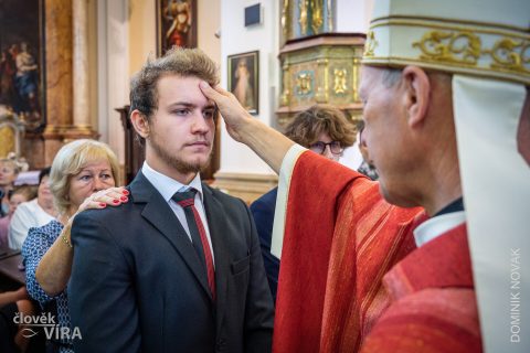 Biřmování 2022