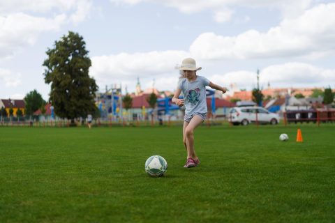 Den pro rodinu 2024