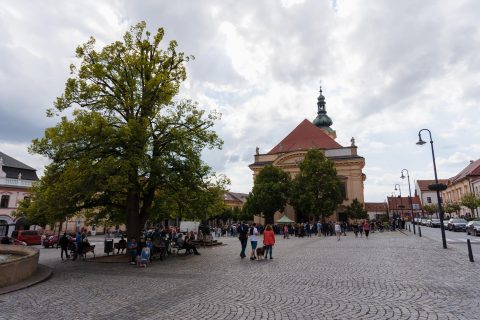 Koncert na schodech – Láďa Křížek