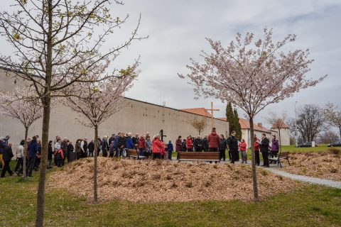 Křížová cesta městem 2022