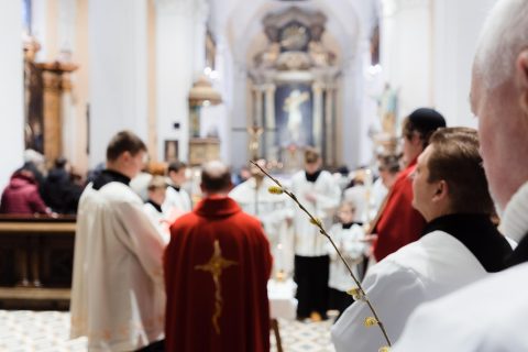 Květná neděle - žehnání ratolestí