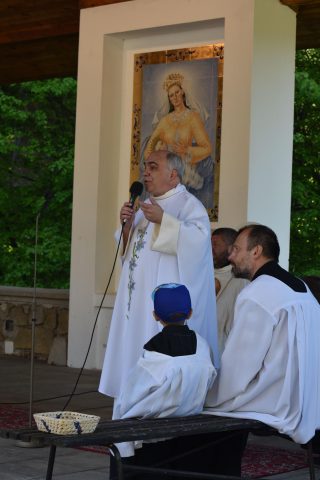 Pouť na Provodov