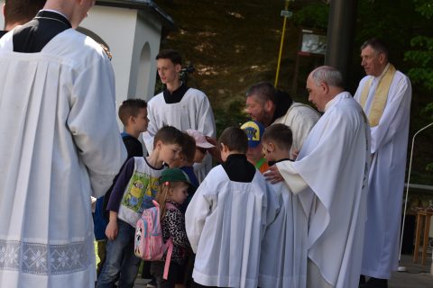 Pouť na Provodov