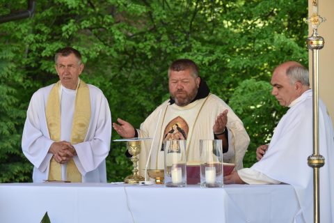 Pouť na Provodov