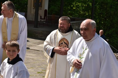 Pouť na Provodov
