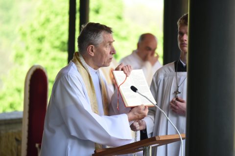 Pouť na Provodov