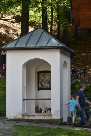 Pouť na Provodov