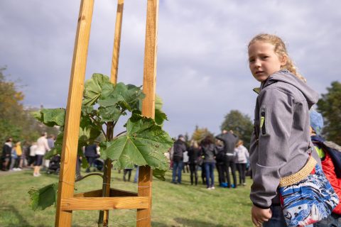 Růžencová pouť 2018