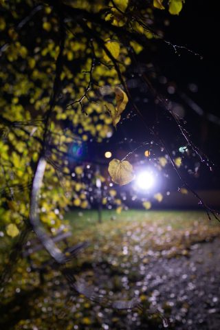 Růžencová pouť 2019 – sobota