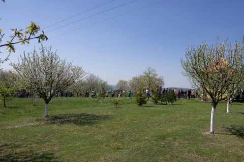 Velikoce 2019