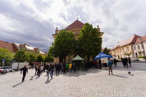Vladimír Merta na schodech